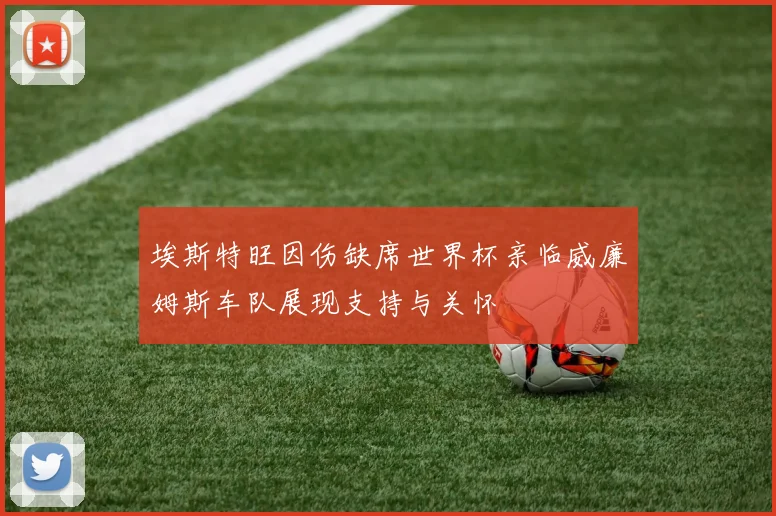 埃斯特旺因伤缺席世界杯亲临威廉姆斯车队展现支持与关怀